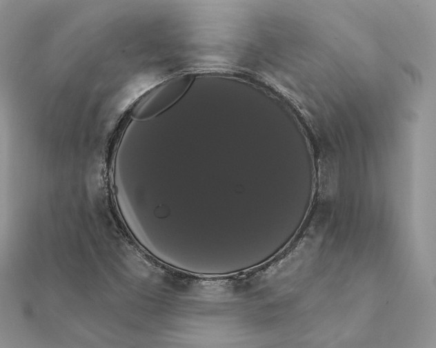 X0000111441453200908031343