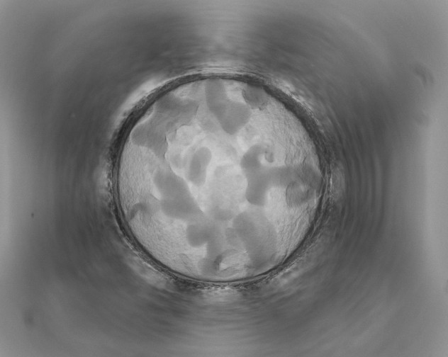 X0000111441454200908031343