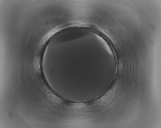 X0000111441455200908031343