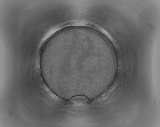 X0000111441456200908031343