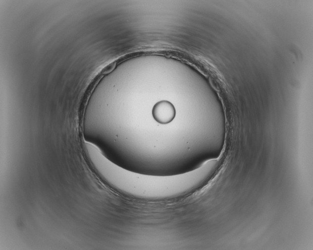 X0000111441457200908031343