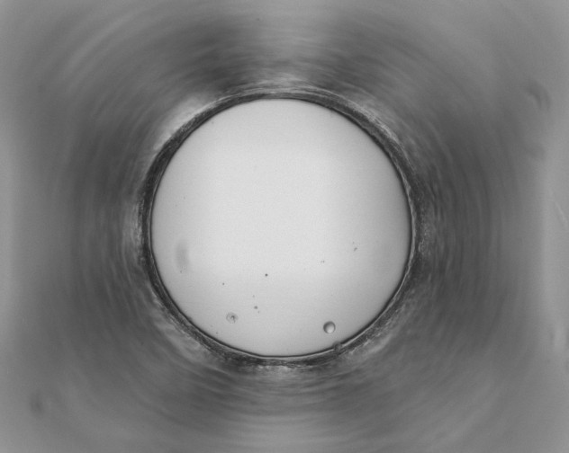 X0000111441458200908031343