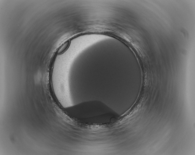 X0000111441459200908031343