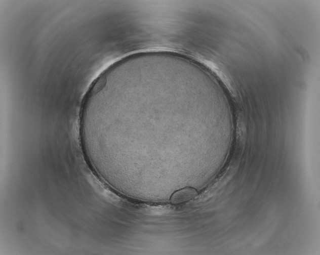 X0000111441460200908031343