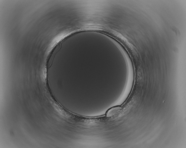 X0000111441461200908031343