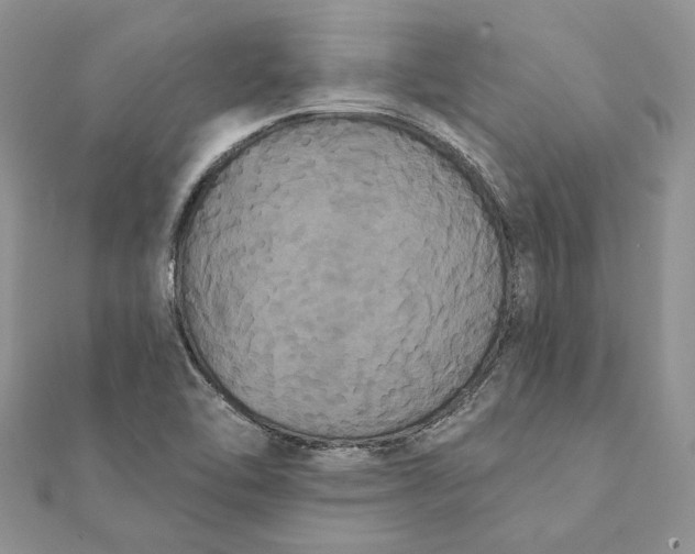 X0000111441462200908031343