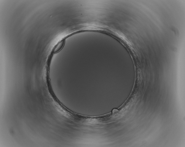 X0000111441463200908031343