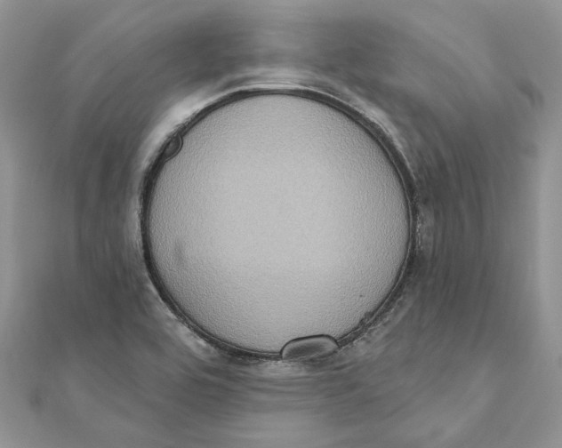 X0000111441464200908031343