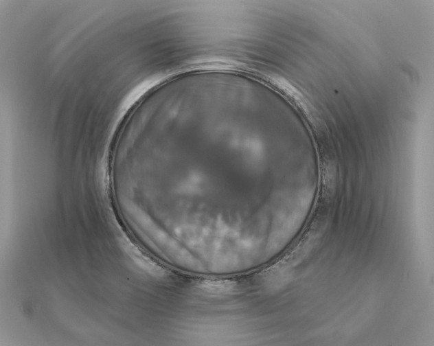 X0000111441466200908031343