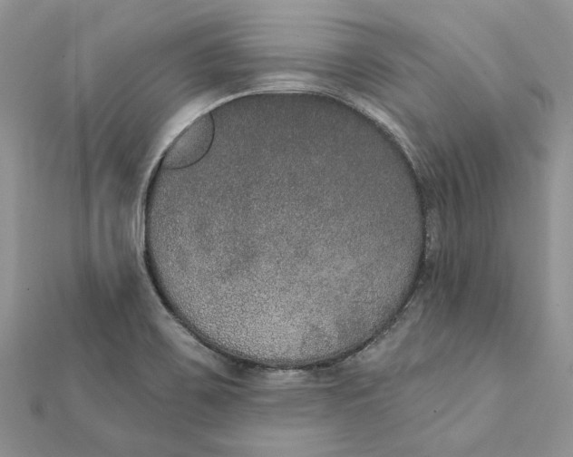 X0000111441467200908031343