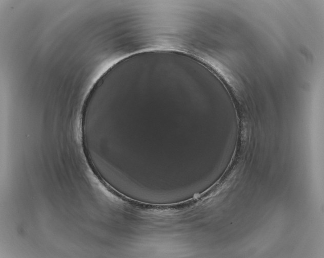 X0000111441468200908031343