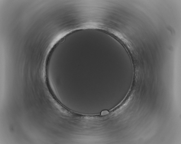 X0000111441469200908031343