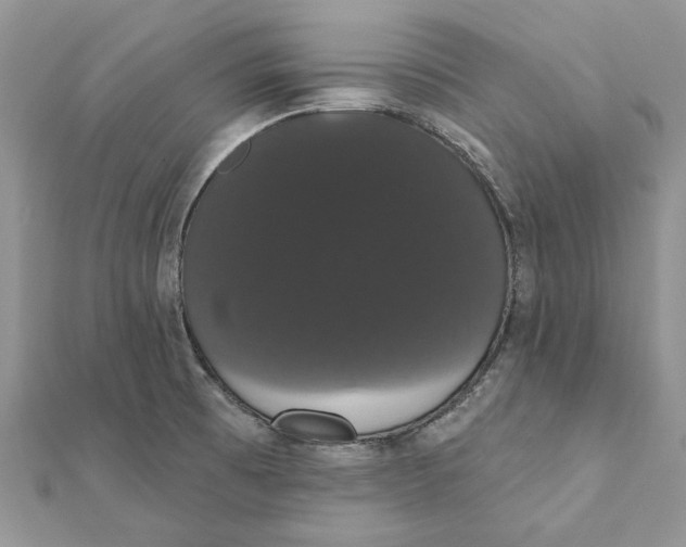 X0000111441473200908031342