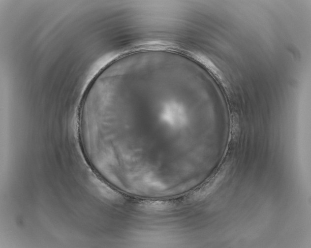 X0000111441474200908031342