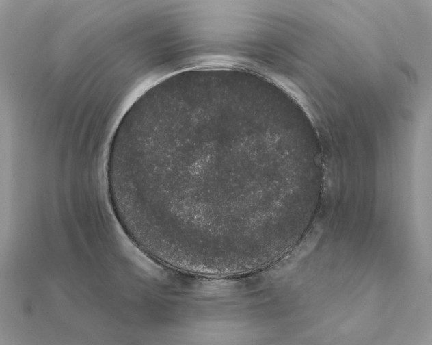 X0000111441475200908031342