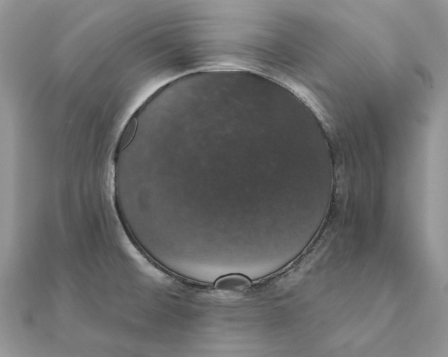 X0000111441476200908031342