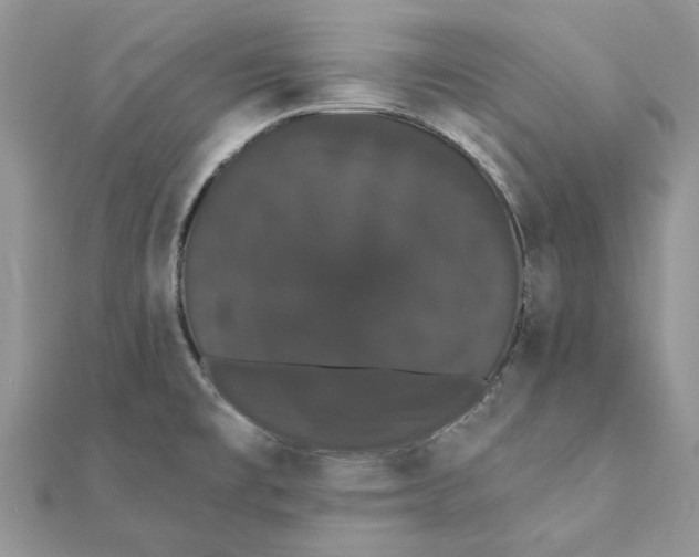 X0000111441477200908031342