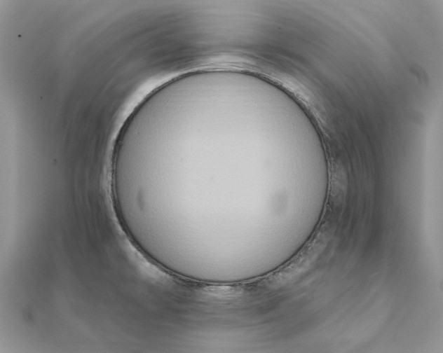 X0000111441478200908031342