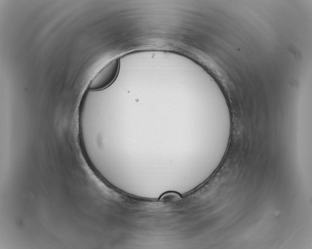 X0000111441479200908031342