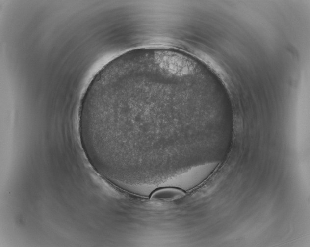 X0000111441480200908031342