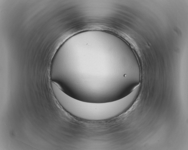 X0000111441481200908031342