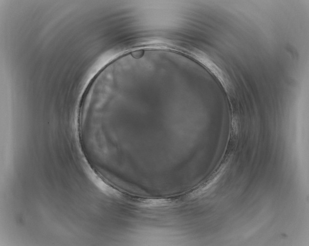 X0000111441482200908031342