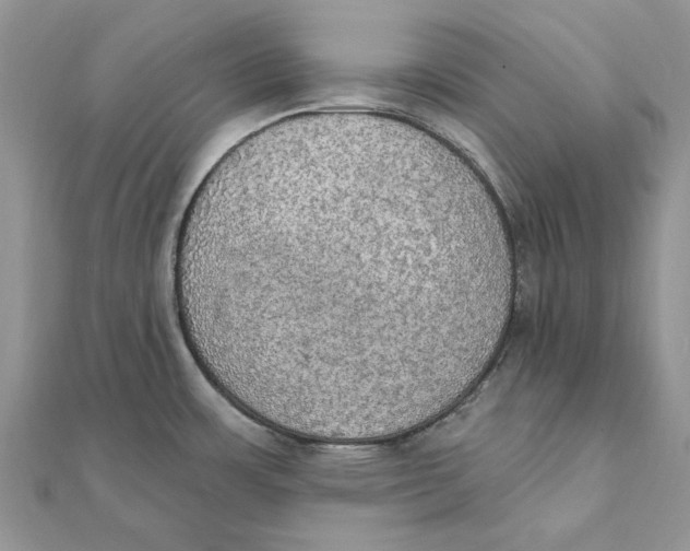 X0000111441483200908031342