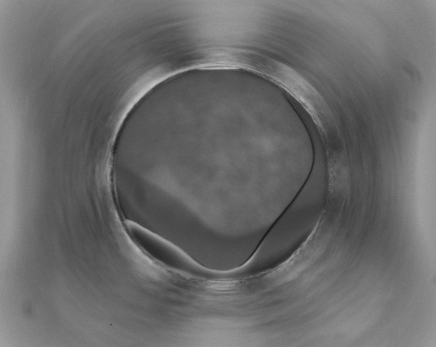 X0000111441484200908031342