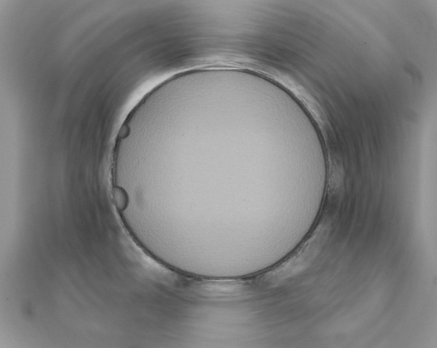 X0000111441486200908031342