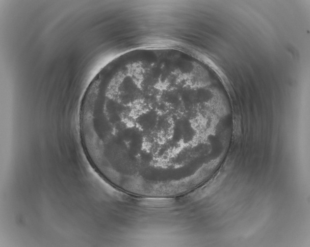 X0000111441487200908031342