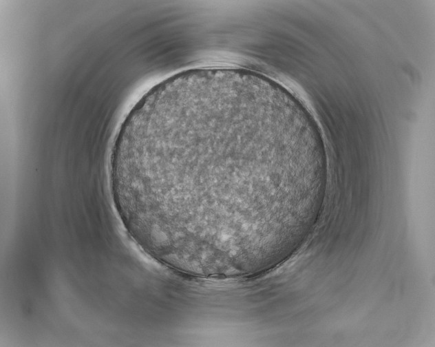 X0000111441488200908031342