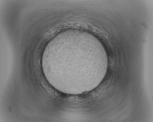 X0000111441489200908031341