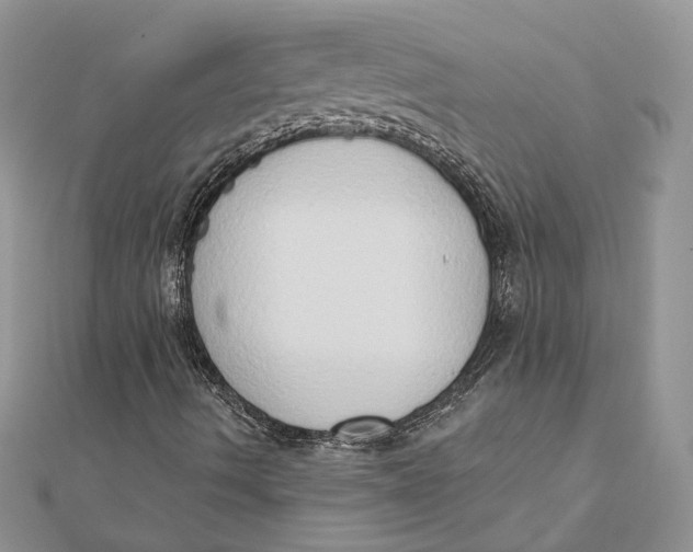 X0000111441490200908031341