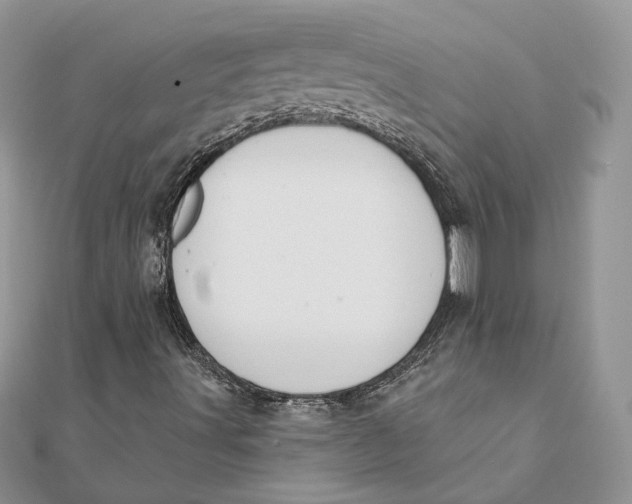 X0000111441491200908031341