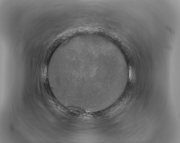 X0000111441492200908031341