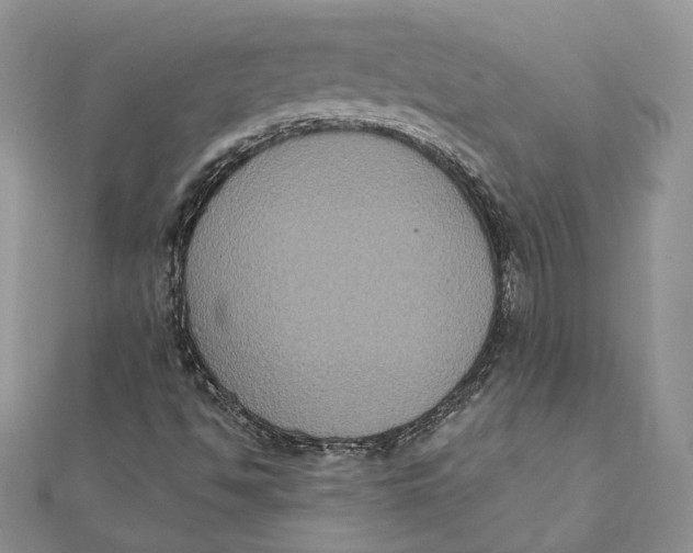 X0000111441494200908031341