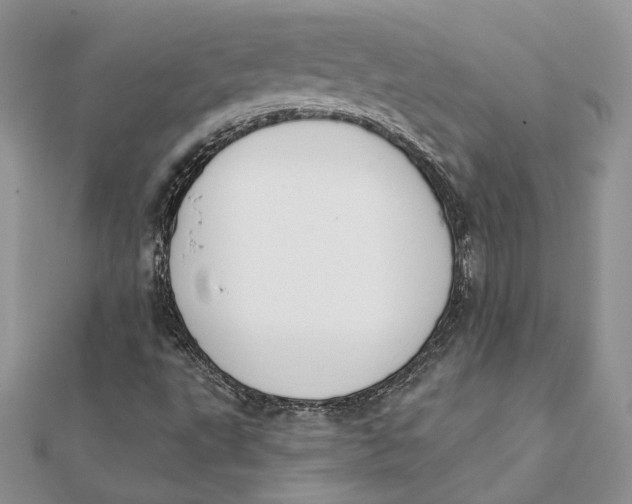 X0000111441495200908031341