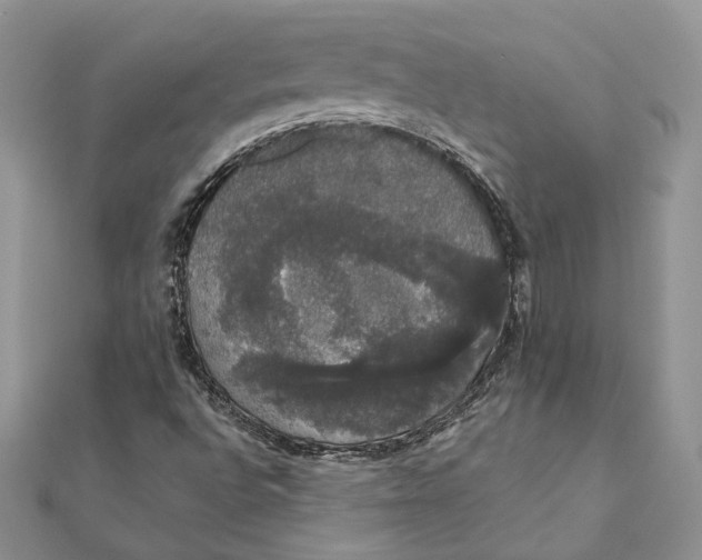 X0000111441496200908031341