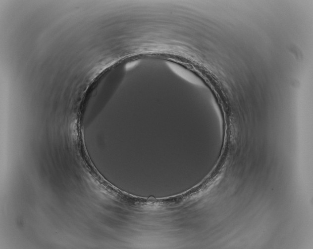 X0000111441497200908031341