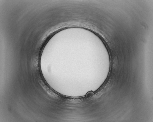 X0000111441499200908031341