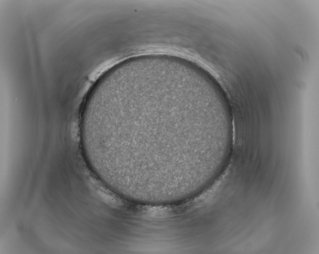 X0000111441501200908031341