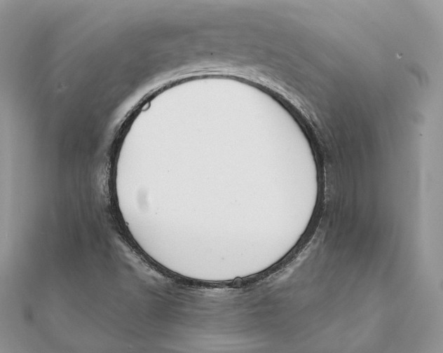 X0000111441502200908031342