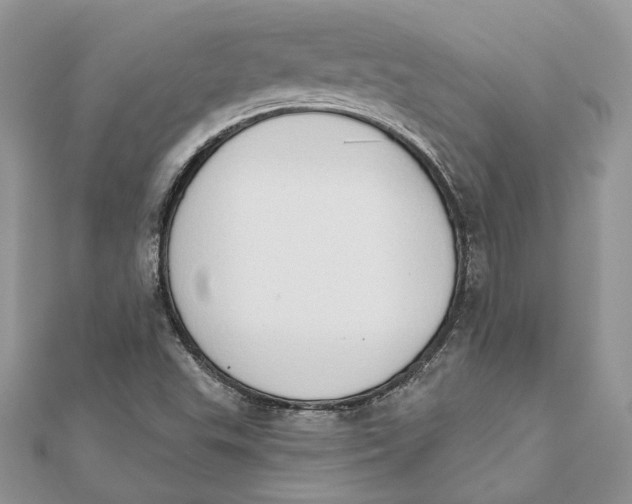 X0000111441503200908031342