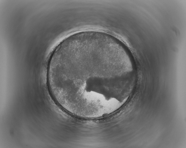 X0000111441504200908031342