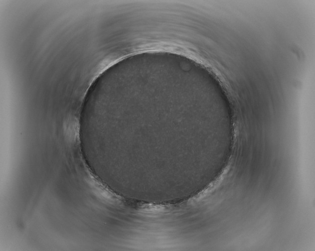 X0000111441505200908031342