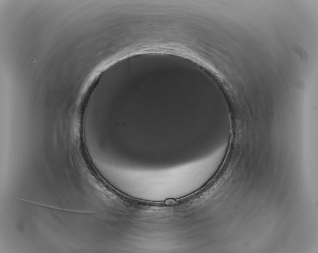 X0000111441506200908031342