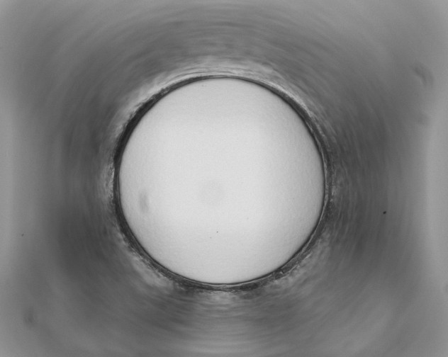 X0000111441507200908031342