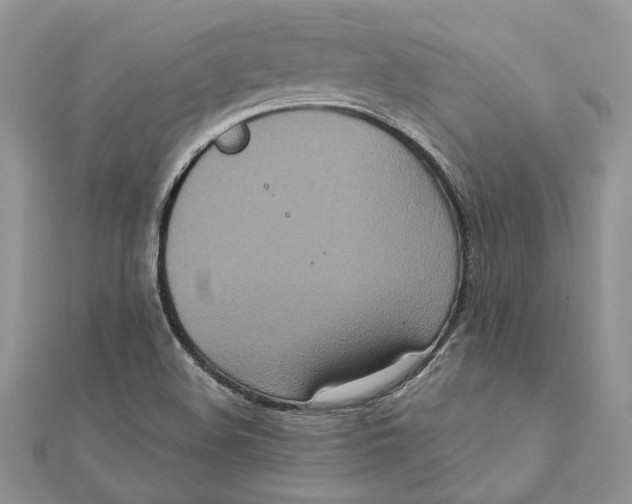 X0000111441508200908031342