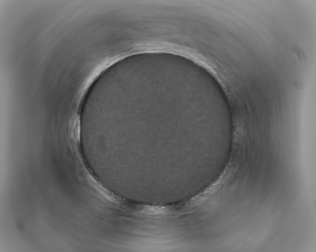 X0000111441509200908031342