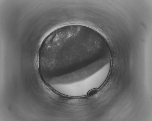 X0000111441510200908031342